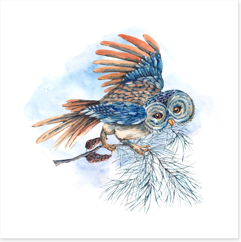 What a hoot