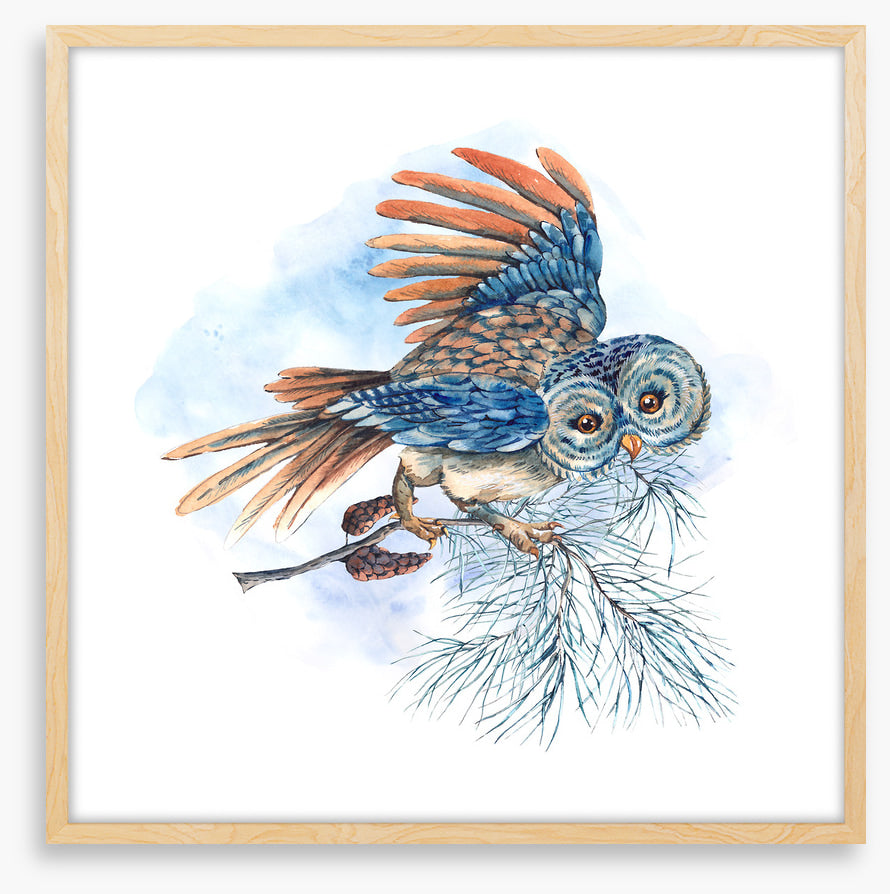 What a hoot