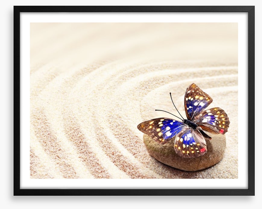 Beautiful butterfly on the sand