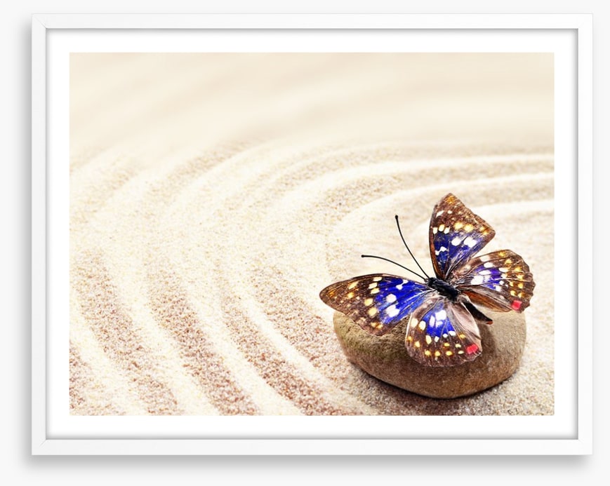 Beautiful butterfly on the sand