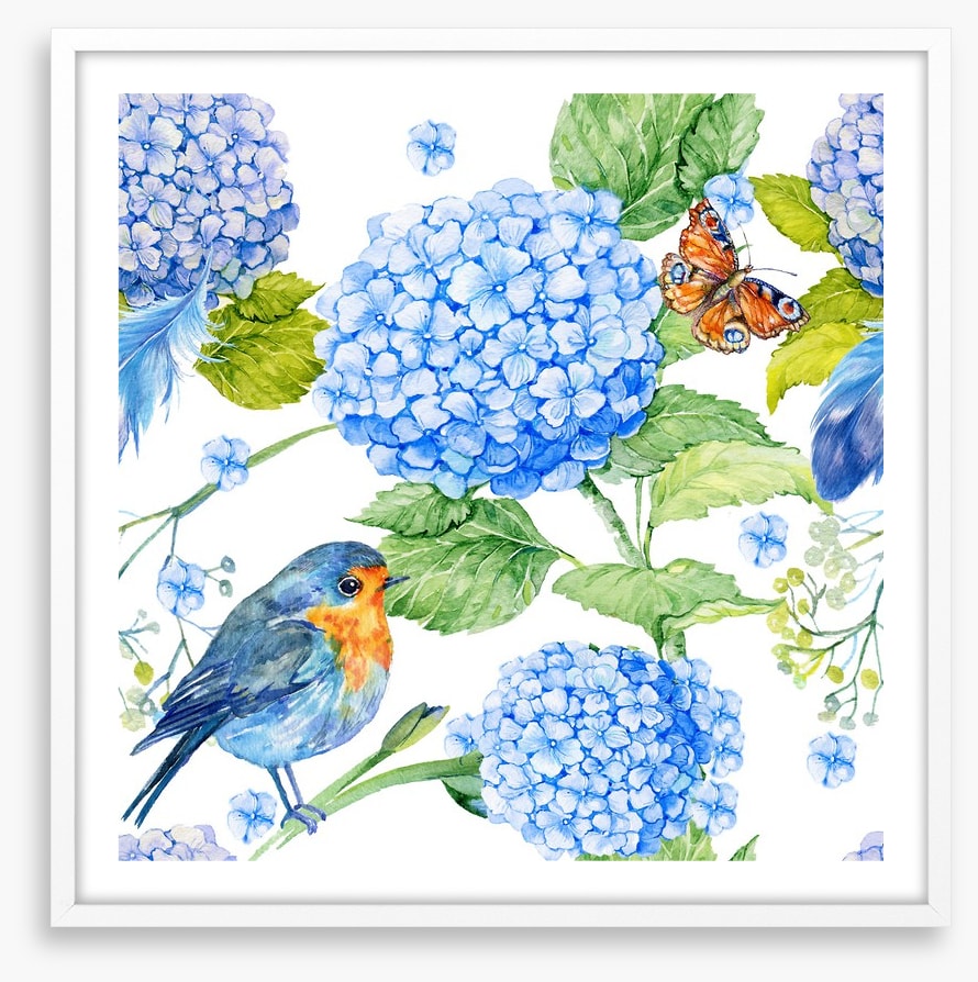 The hydrangea garden