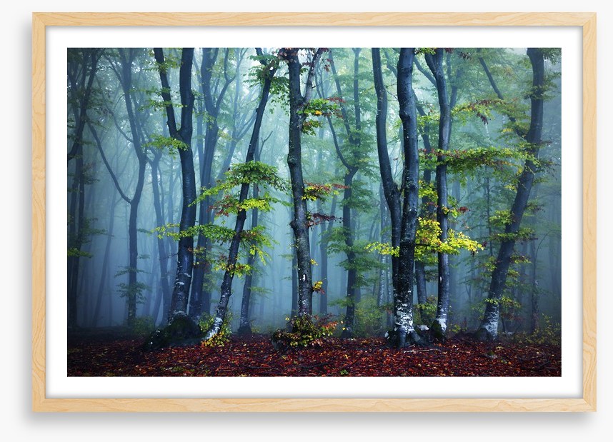 Beyond the mist