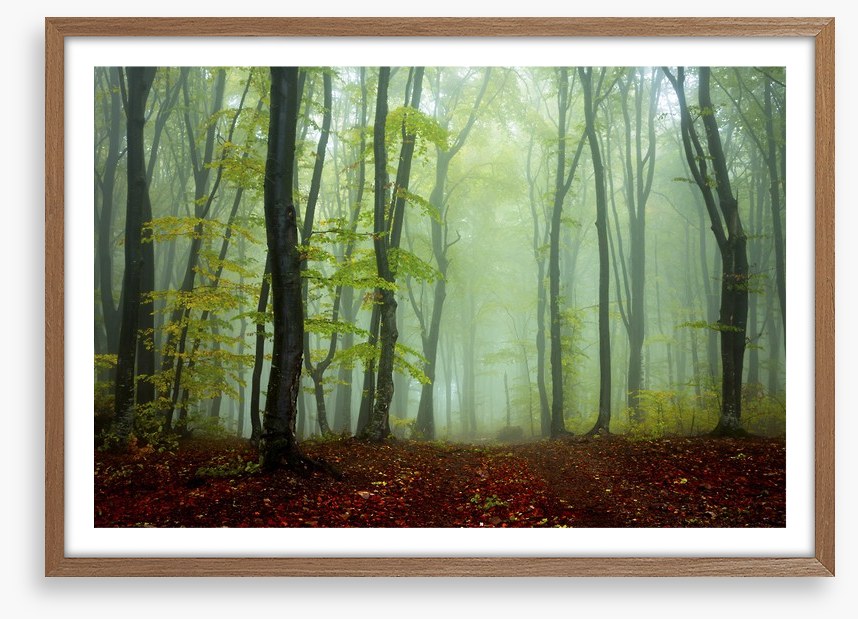Deep in the mystic woods