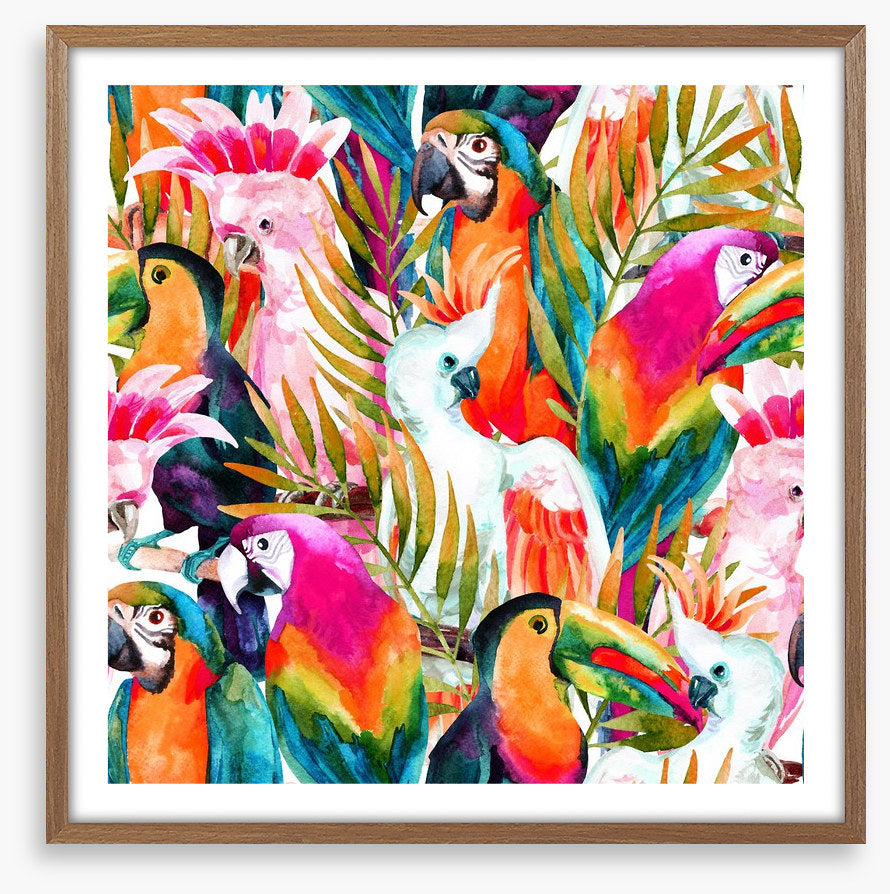 Parrots and cockatoo