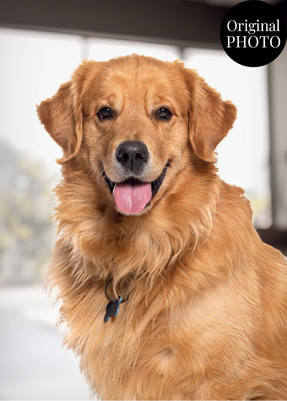 Dog Ink Line Artistic Design Custom Portrait | Stretched Canvas