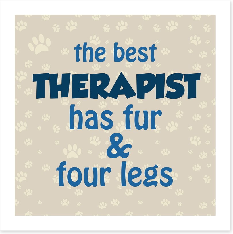 The best therapist