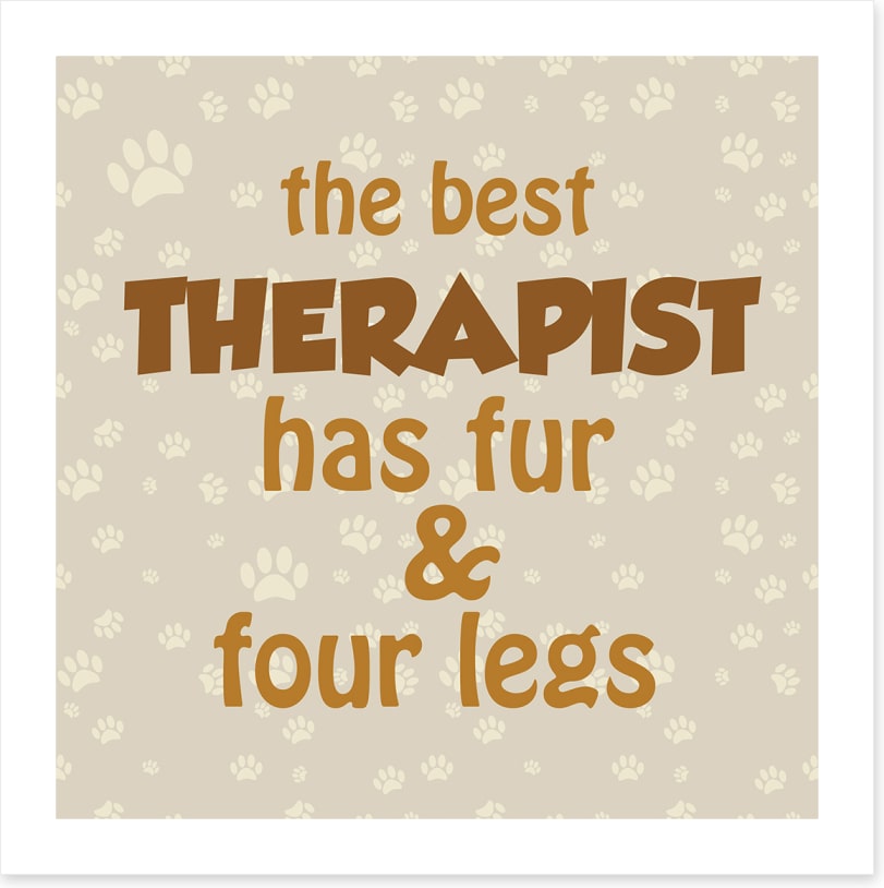 The best therapist