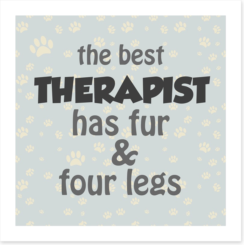 The best therapist