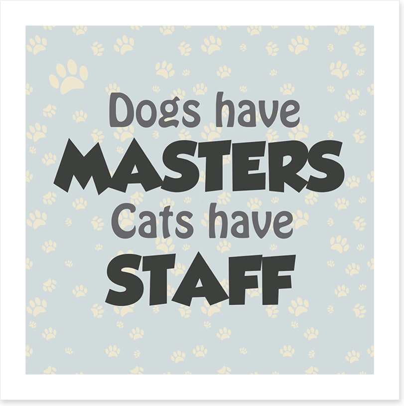 Cats and dogs
