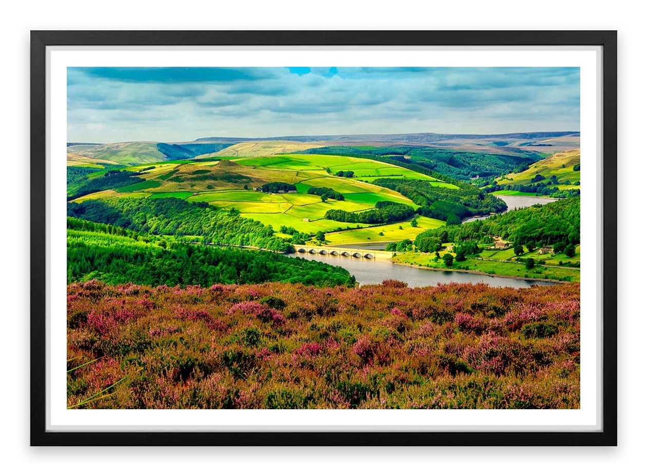 Bamford foliage