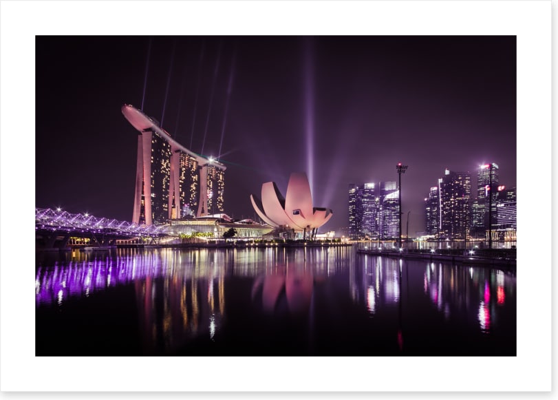 The Singapore flower