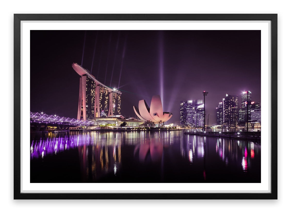 The Singapore flower