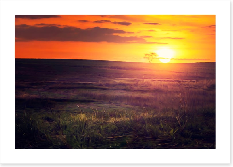 Golden sunset