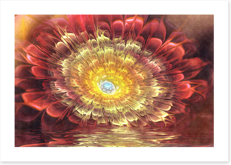 Antique rose