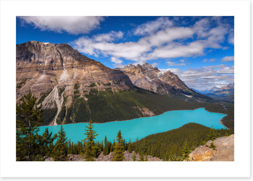 Peyto view