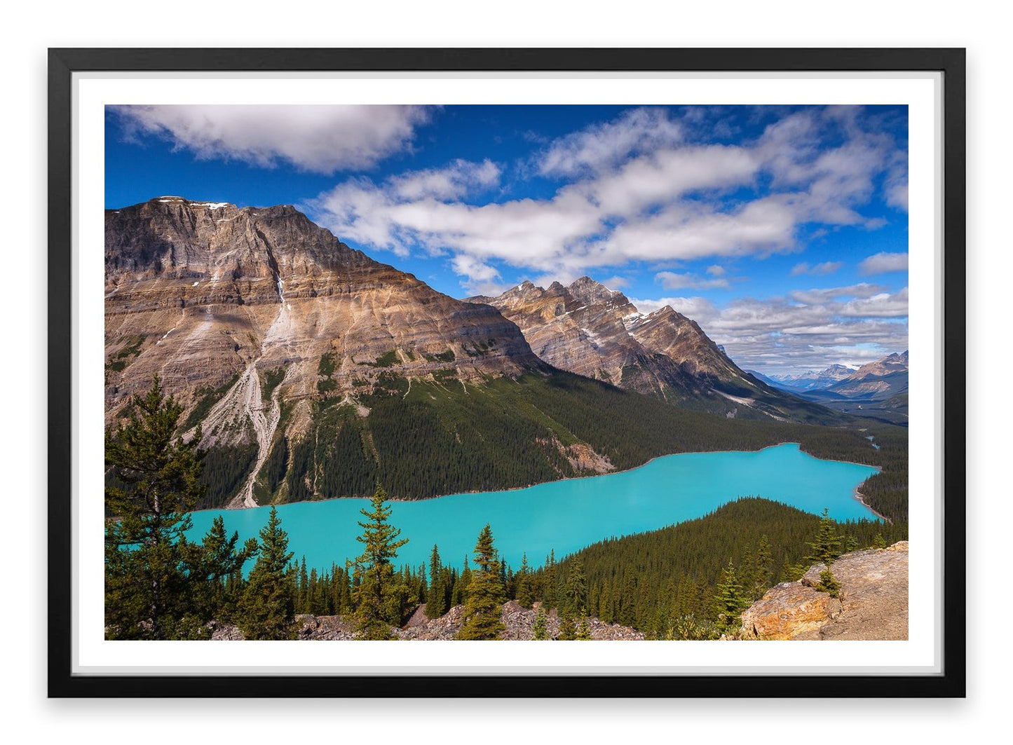 Peyto view