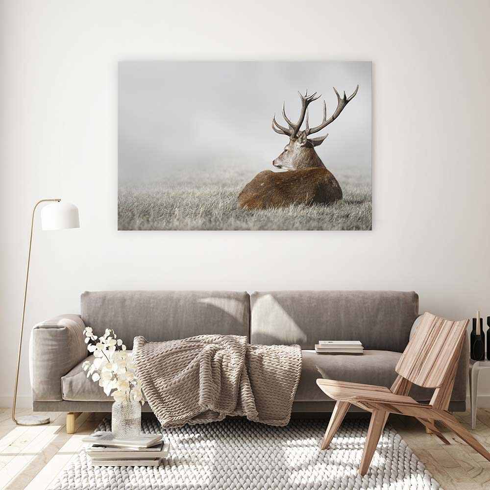 Stag in the fog