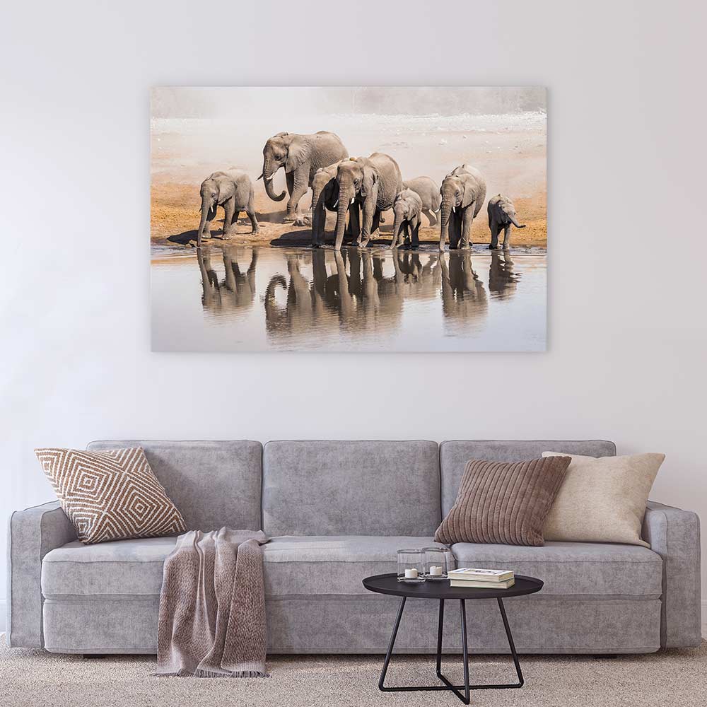 The elephant waterhole