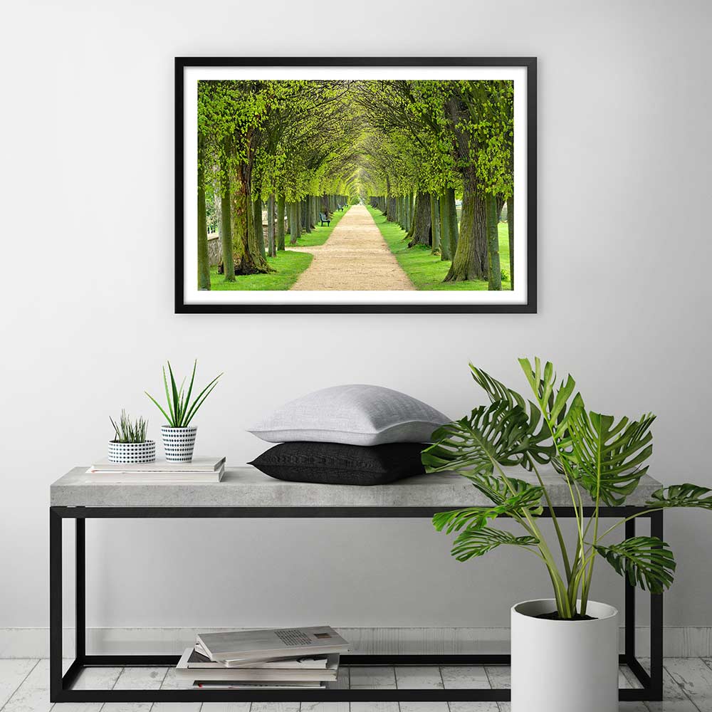 Linden promenade