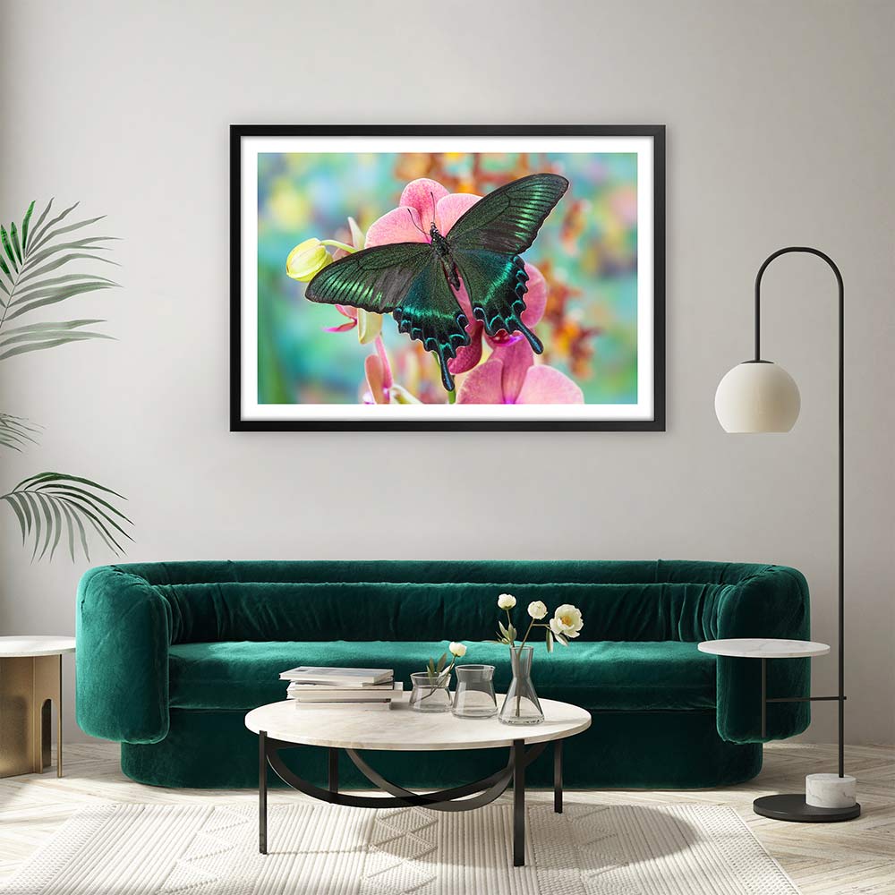 Alpine black swallowtail