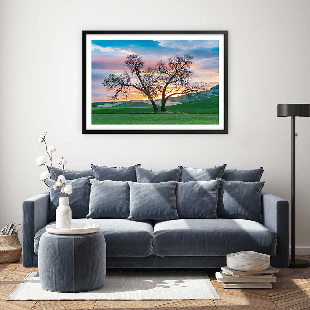 Cottonwood country