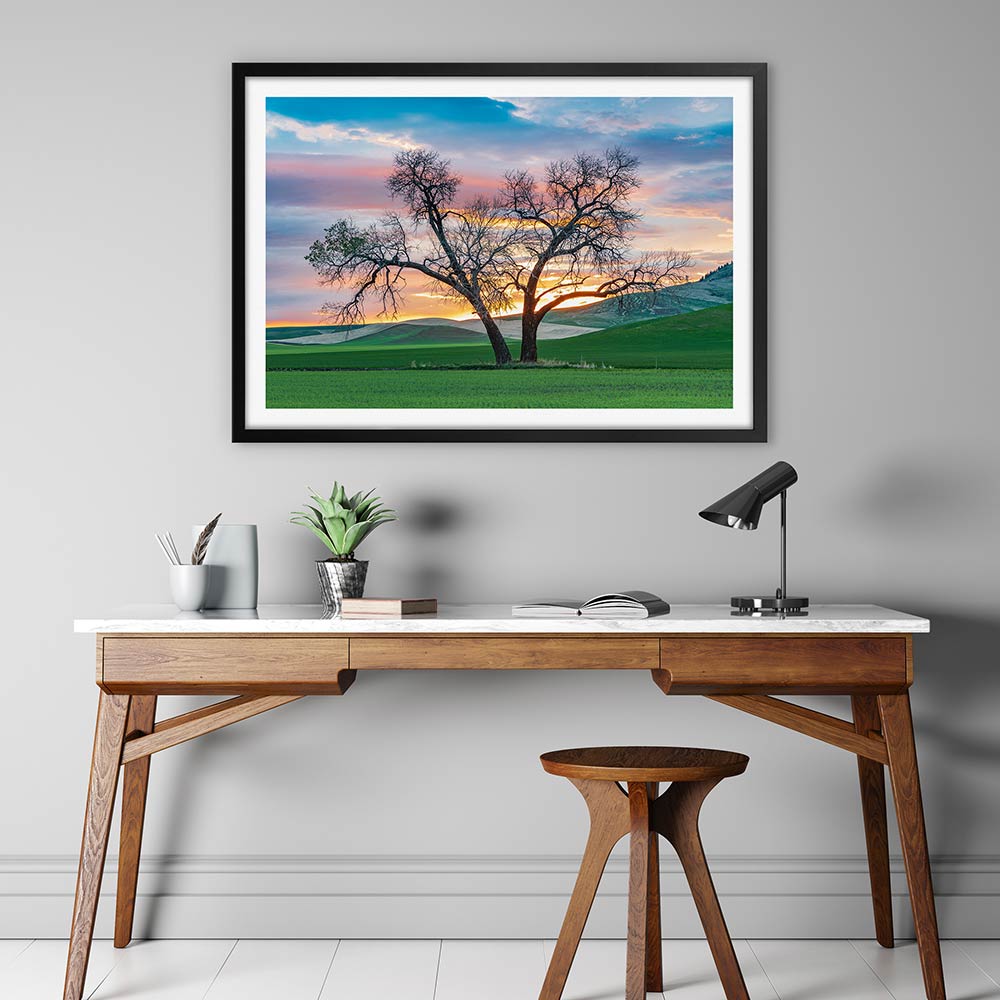 Cottonwood country