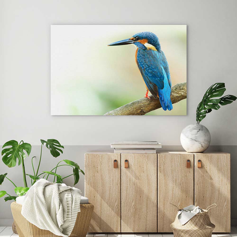 Kingfisher king