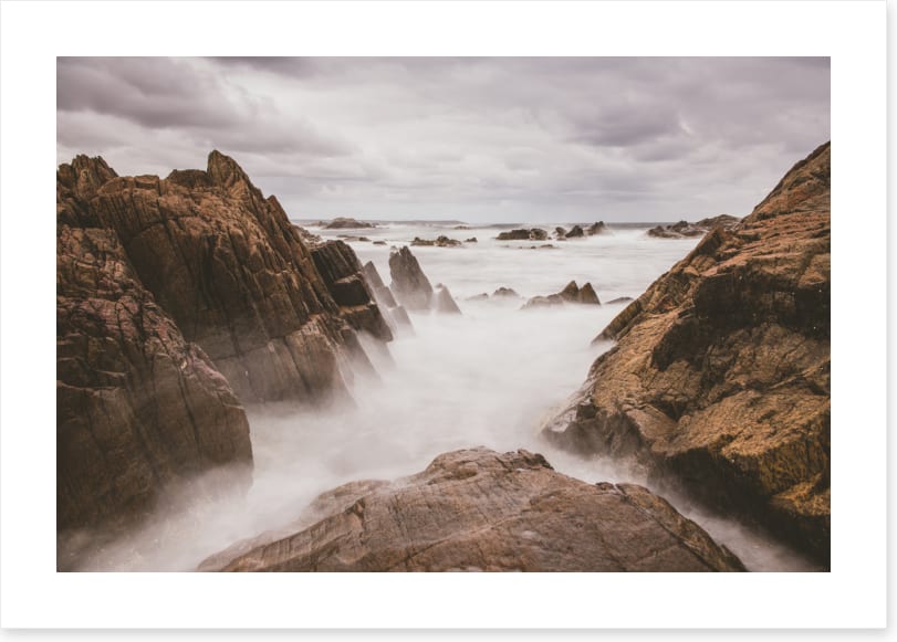 Caladenia_Landscape_Canvas_90Wx60H_Bedhead_DarkBlueRoom