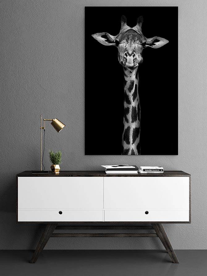 Modern Photography - Giraffe