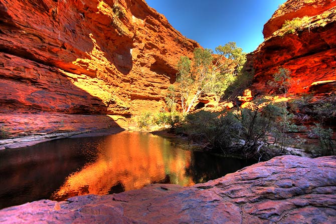 Nature Pictures Kings Canyon