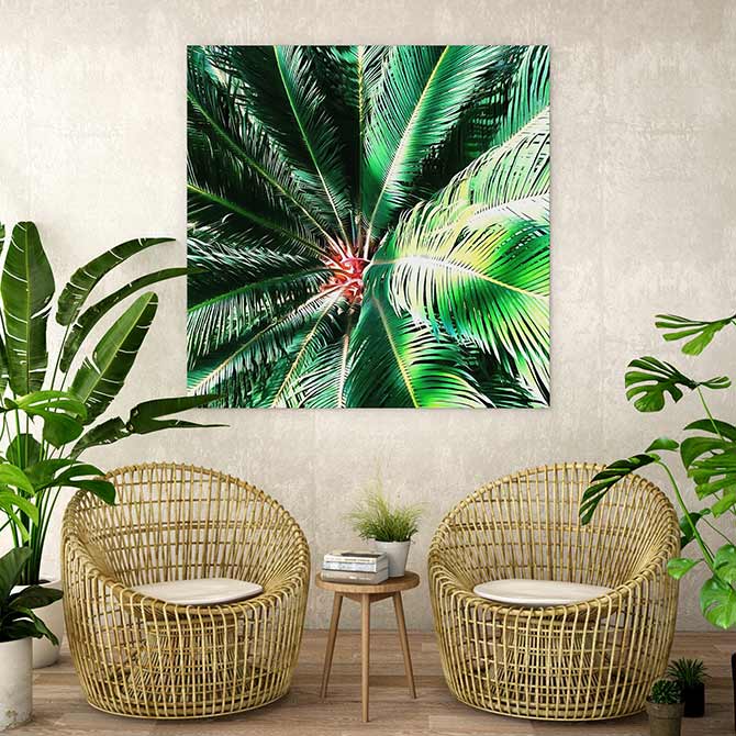 decor and design featuring indoor plants