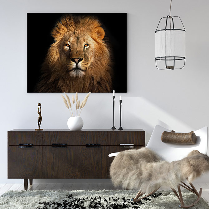 photographic art of a lion