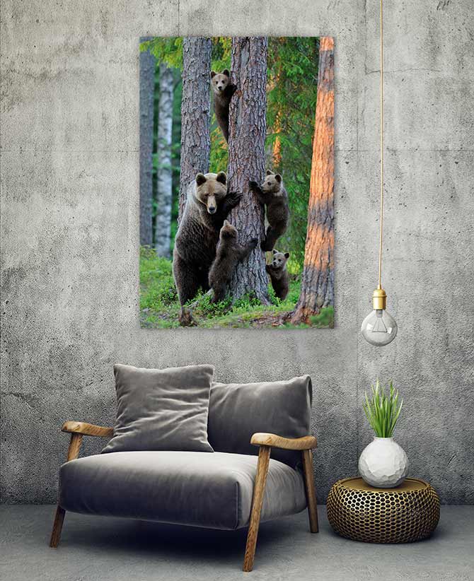 wildlife art of bears