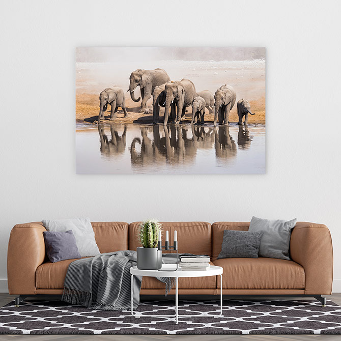 elephant wildlife art