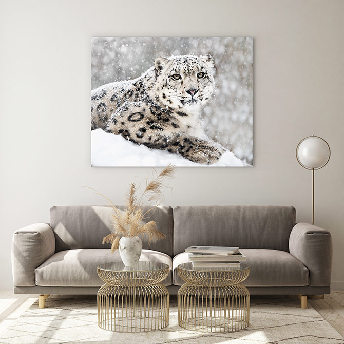 furry wildlife art