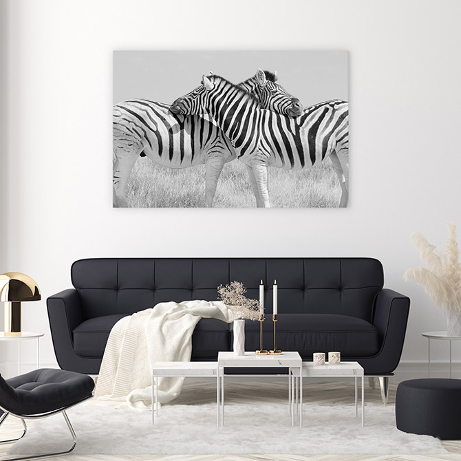 zebra wildlife art