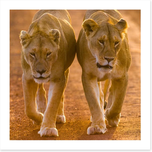 Side by side