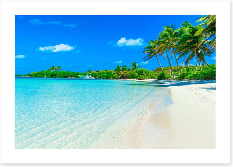 Paradise breeze