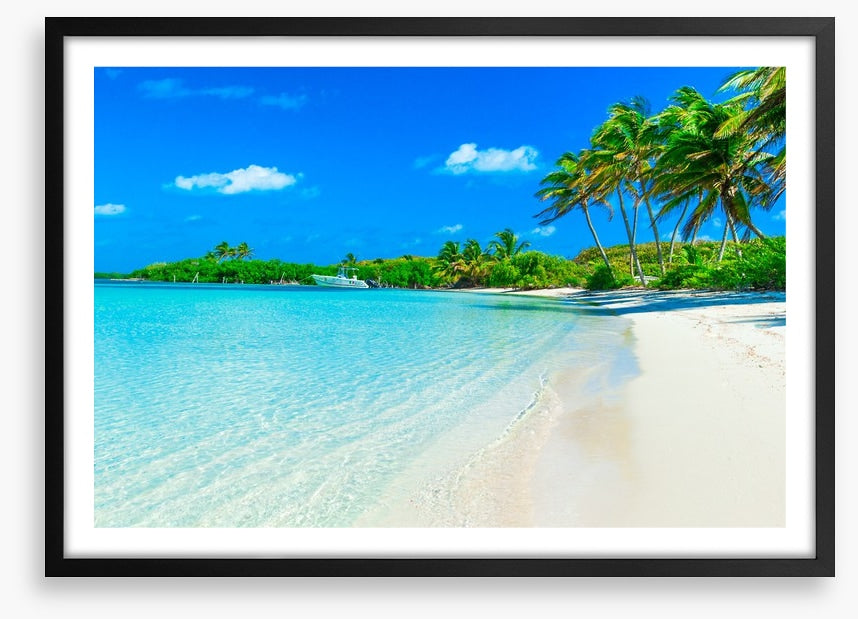 Paradise breeze