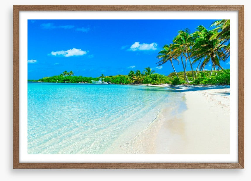 Paradise breeze