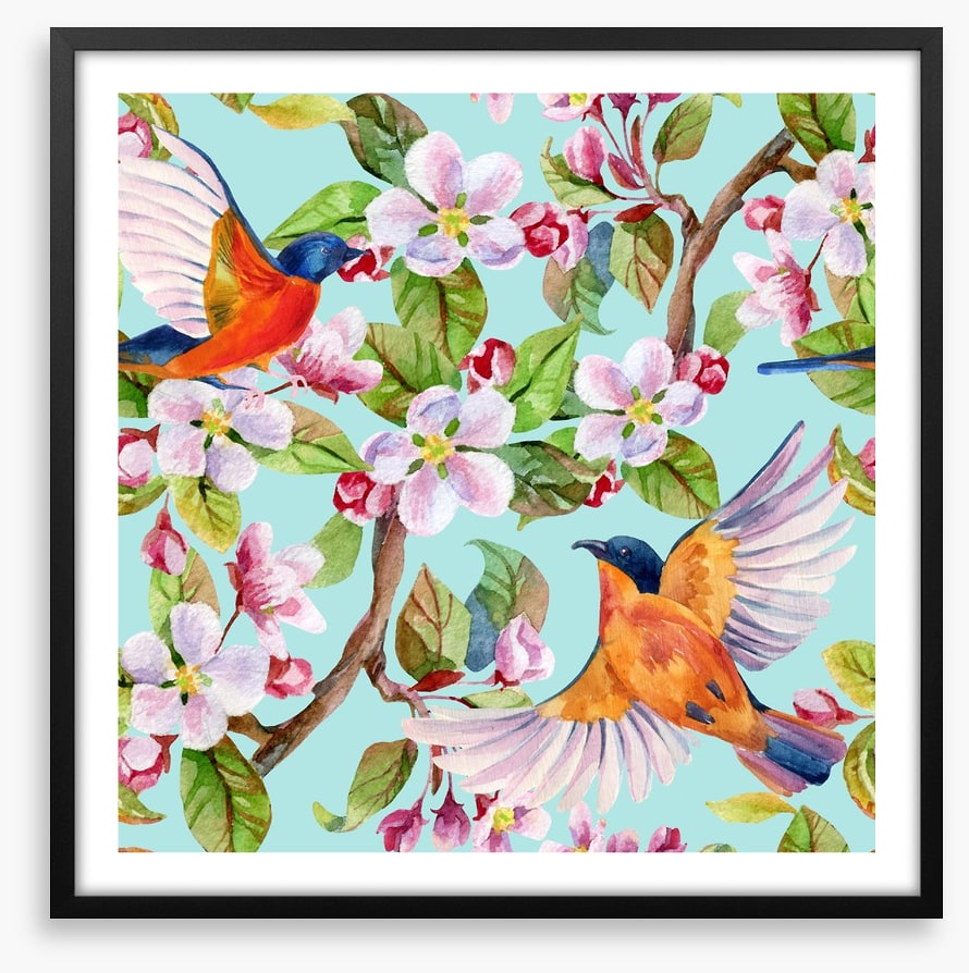 Apple blossom birds