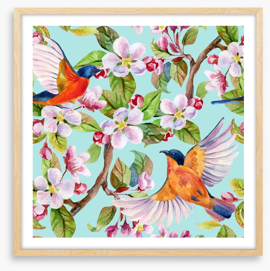 Apple blossom birds