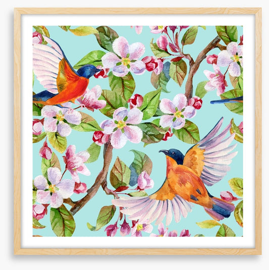 Apple blossom birds