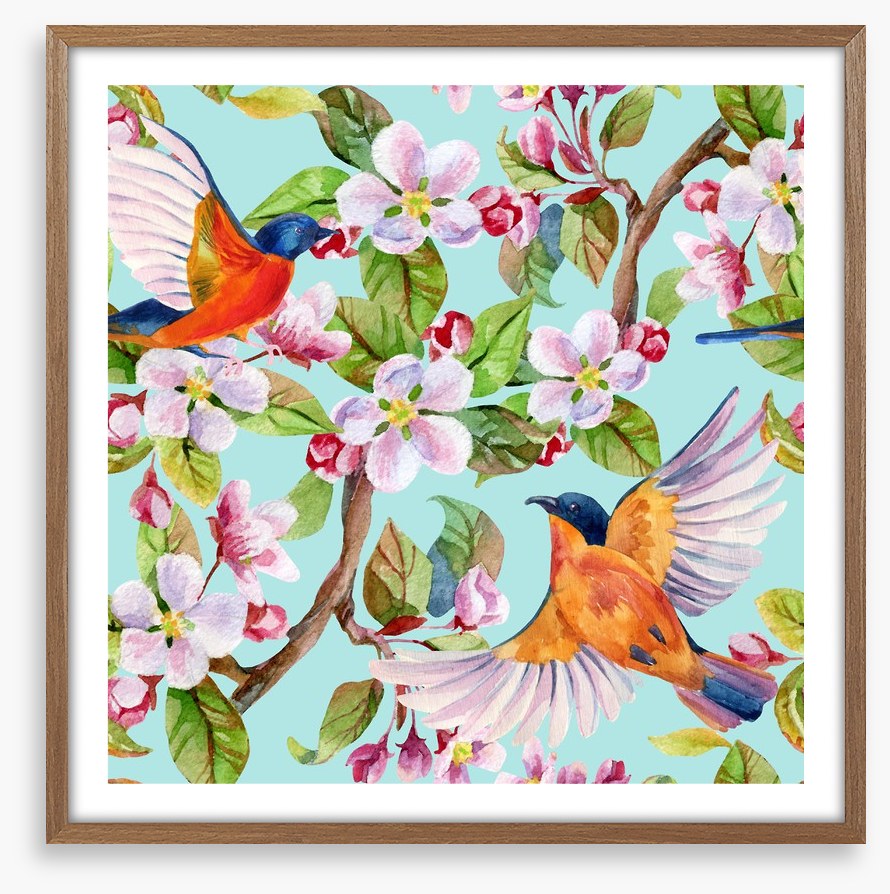Apple blossom birds