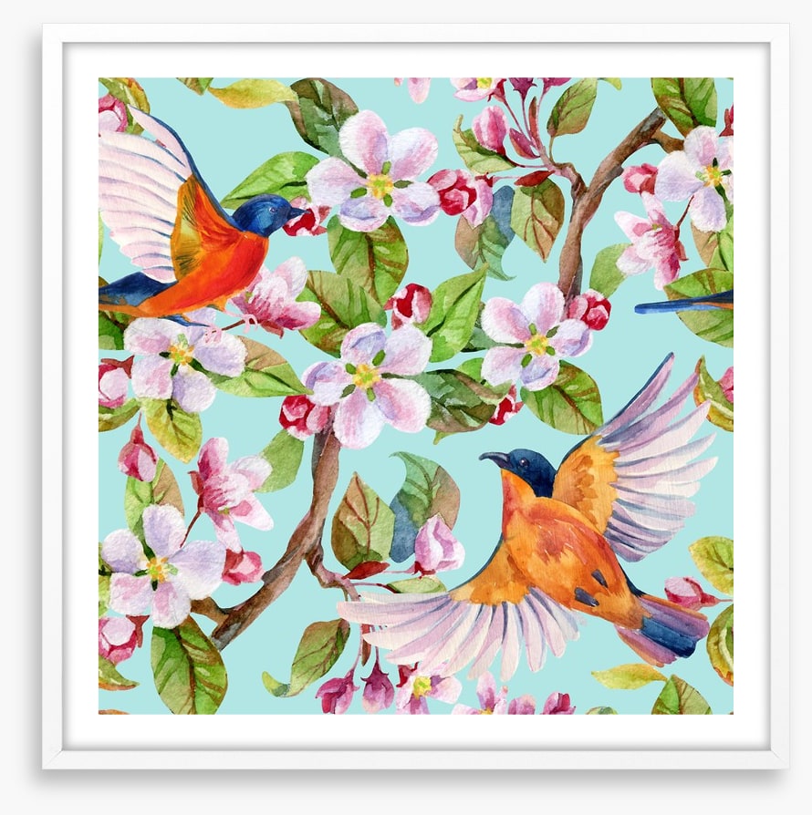 Apple blossom birds