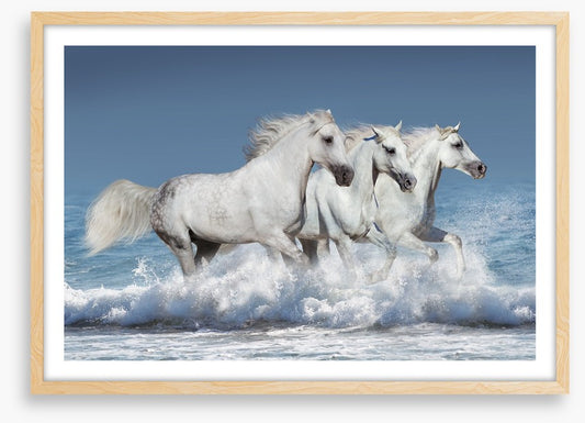 Ocean run