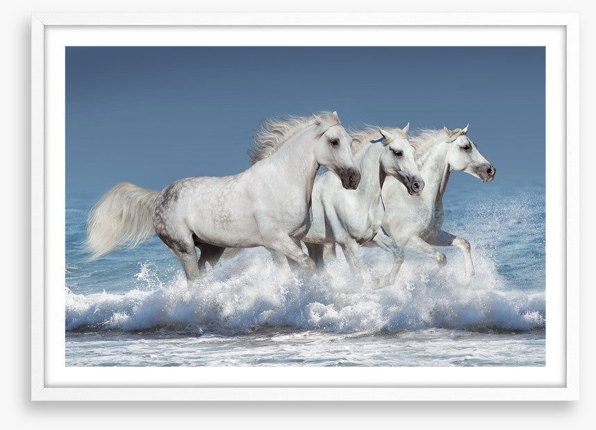 Ocean run