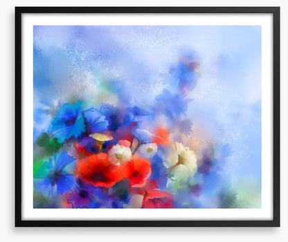 Cornflower breeze