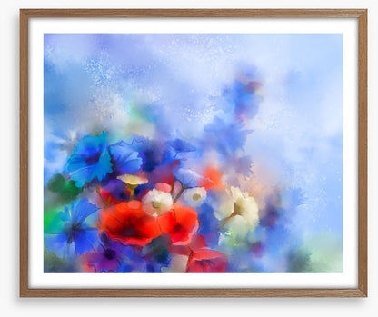 Cornflower breeze