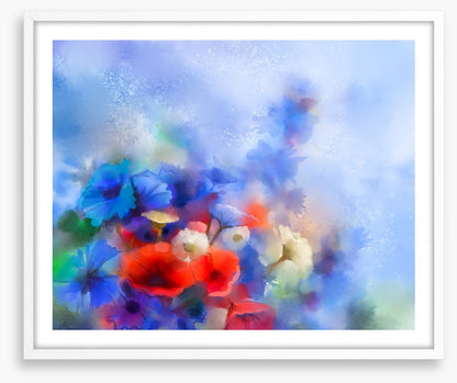 Cornflower breeze